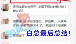 大山哥视频爆料网站下载,下载背后的真相与内幕