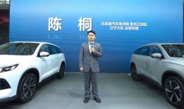 美驰名车爆料视频大全集,揭秘豪车世界背后的精彩故事