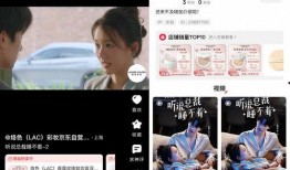 爆料麦蔻的人是谁啊视频,真相背后的神秘人物