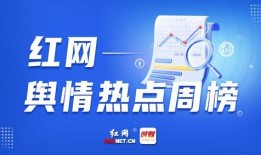 新闻网络爆料,揭秘背后真相