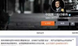 王导直播狗仔爆料视频,狗仔爆料视频背后的真相