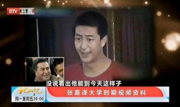 最新爆料现场视频大全集,最新爆料大全集深度解析