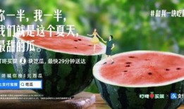 支付宝免费吃瓜,夏日清凉福利大放送！