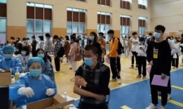 辽宁男孩爆料视频最新消息,揭秘事件背后真相