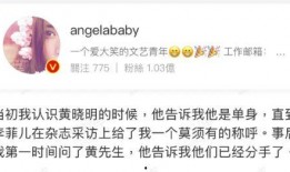 内娱吃瓜小说免费阅读,揭秘娱乐圈背后的吃瓜秘闻