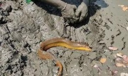 爆料乡村小哥视频,接地气日常，笑料百出