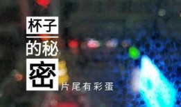 苏州饭店爆料视频播放网站,揭秘酒店幕后故事