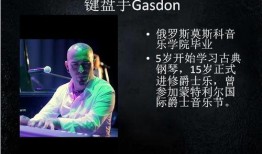 美国歌手爆料视频播放网站,揭秘热门视频播放网站幕后真相