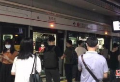 深圳网上新闻爆料,最新爆料揭示城市动态