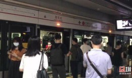 深圳网上新闻爆料,最新爆料揭示城市动态