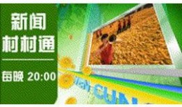 央视九套在线直播观看,领略多元文化，共筑和谐世界