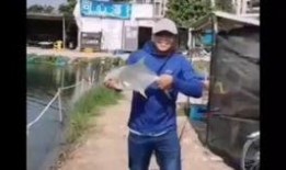 爆料钓鱼被打视频在线观看,爆料钓鱼被打视频引发网友热议