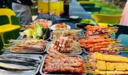 自助烧烤爆料视频大全集,揭秘热门自助烧烤爆料视频大全集