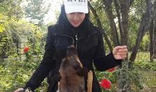 狼狗妹妹爆料视频,揭秘娱乐圈不为人知的幕后故事