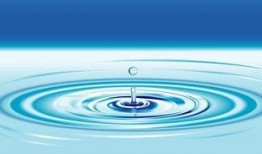 青年水波风水门爆料最新,青年水波风水门最新爆料，揭秘江湖风云再起