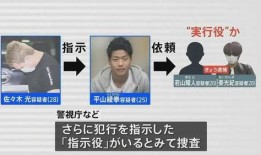 莆田老板爆料新闻事件最新,揭秘新闻事件背后惊人内幕