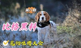 宠物黑料爆料视频大全,视频大全曝光惊人内幕