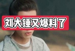 刘大锤爆料王字的视频是真的吗,刘大锤爆料王字视频真实性揭秘
