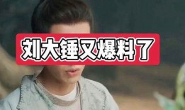刘大锤爆料王字的视频是真的吗,刘大锤爆料王字视频真实性揭秘